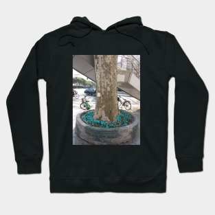 Blue City Tree Hoodie